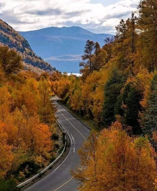 Ruta de los Siete Lagos